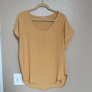 Chic Tan Blouse for Women